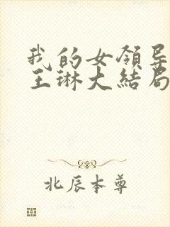 我的女领导陈芳王琳大结局封面