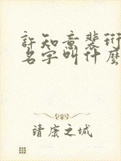 许知意裴珩短剧名字叫什么封面