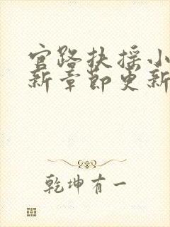 官路扶摇小说最新章节更新时间