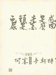 龟头老是感觉有尿是怎么回事