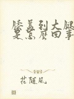 膝盖到大腿筋疼是怎么回事