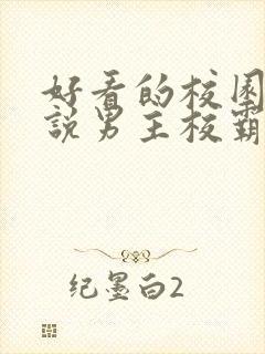 好看的校园文小说男主校霸