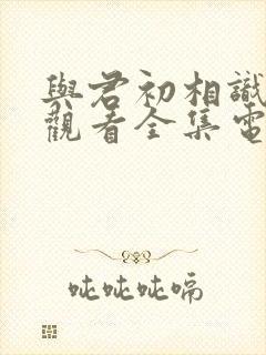 与君初相识免费观看全集电视剧