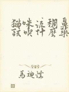 猫咪流稠鼻涕应该吃什么药