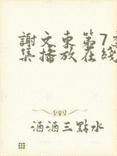 谢文东第7季全集播放在线观看封面