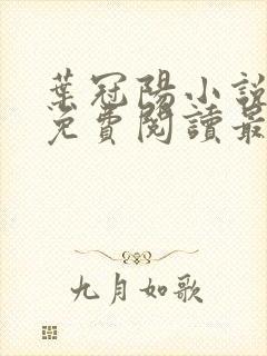 叶冠阳小说全文免费阅读最新章节