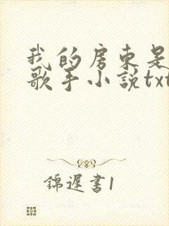 我的房东是偶像歌手小说txt下载