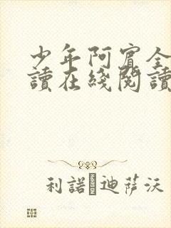 少年阿宾全文阅读在线阅读全文第一季