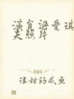 演员梁爱琪的丈夫照片