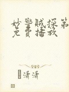 妙警贼探第二季免费播放