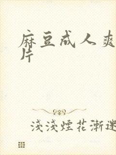 麻豆成人爽a毛片