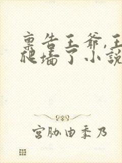 禀告王爷,王妃爬墙了小说封面