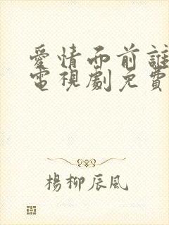 爱情面前谁怕谁电视剧免费观看高清封面