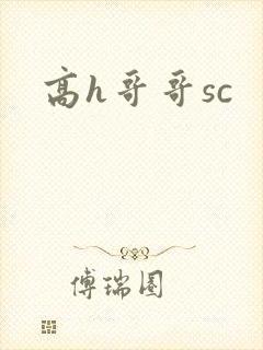高h哥哥sc封面