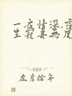 一夜情深,霍先生宠妻无度全书封面