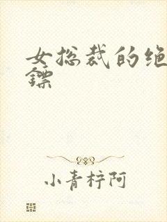 女总裁的绝密保镖