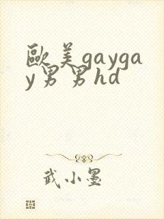 欧美gaygay男男hd