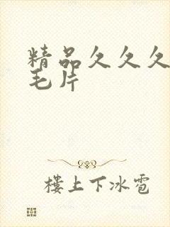 精品久久久久久毛片