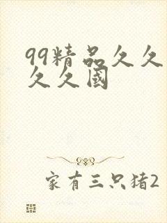 99精品久久久久久国