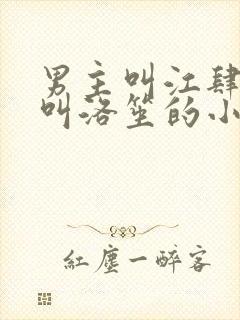 男主叫江肆女主叫洛笙的小说