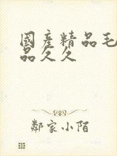 国产精品毛片极品久久