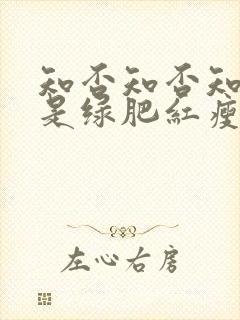 知否知否知否应是绿肥红瘦是哪个季节