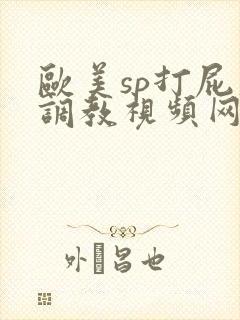 欧美sp打屁股调教视频网站