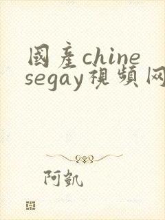 国产chinesegay视频网站封面