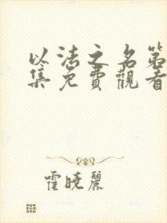 以法之名第36集免费观看高清