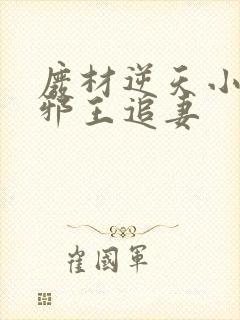 废材逆天小姐之邪王追妻