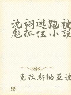 沈翊逃跑被孙志彪抓住小说免费阅读封面