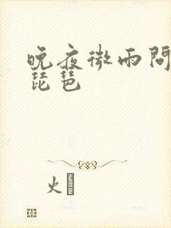 晚夜微雨问海棠琵琶封面