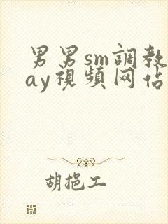 男男sm调教gay视频网站