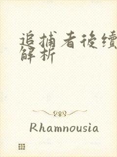 追捕者后续剧情解析