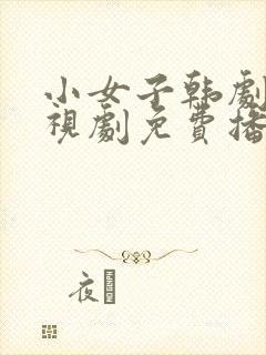 小女子韩剧 电视剧免费播放全集封面