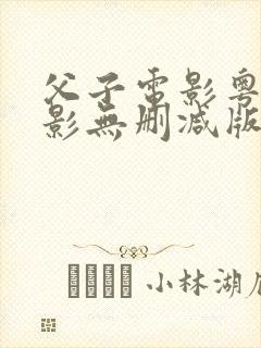 父子电影粤语电影无删减版