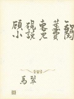 顾砚东叶知安的小说免费阅读全文封面