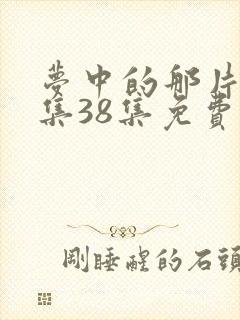 梦中的那片海全集38集免费