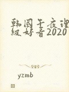 韩国午夜理伦三级好看2020