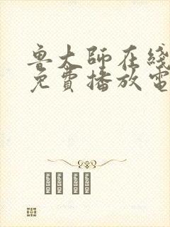 鲁大师在线观看免费播放电视剧安全