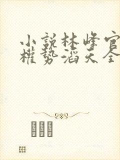 小说林峰官道之权势滔天全文阅读