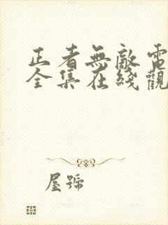 正者无敌电视剧全集在线观看免费