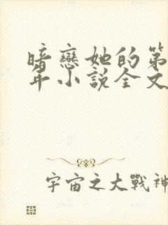 暗恋她的第十一年小说全文