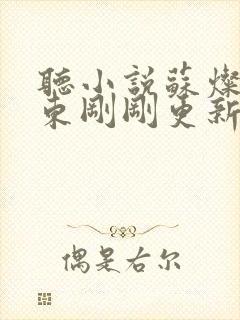 听小说苏灿陆战东刚刚更新章节