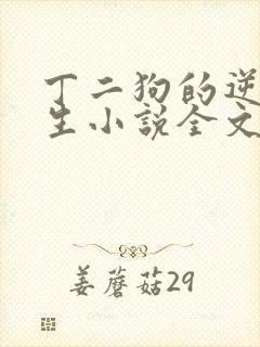 丁二狗的逆袭人生小说全文阅读