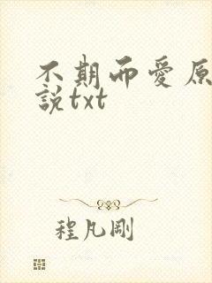 不期而爱原著小说txt