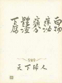 下体痛痒白色豆腐渣分泌物