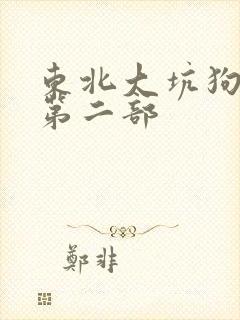 东北大坑狗儿娘第二部封面