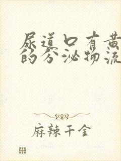 尿道口有黄白色的分泌物流出,怎么回事啊