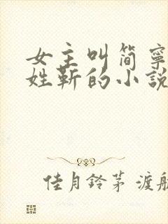 女主叫简宁男主姓靳的小说